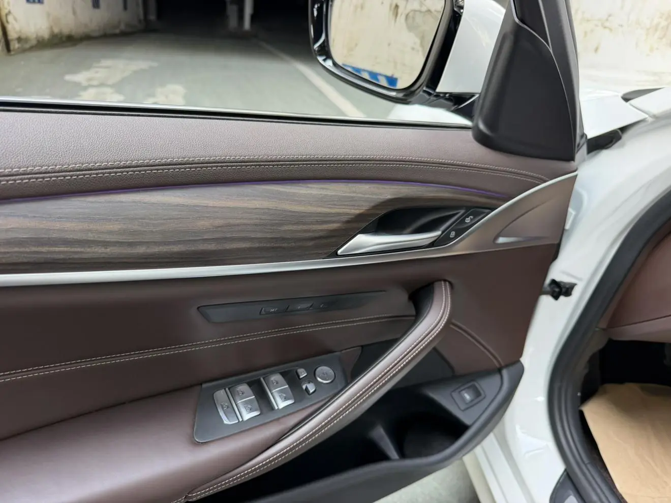 BMW 5 Series 2020 530Li Leading Luxury Package