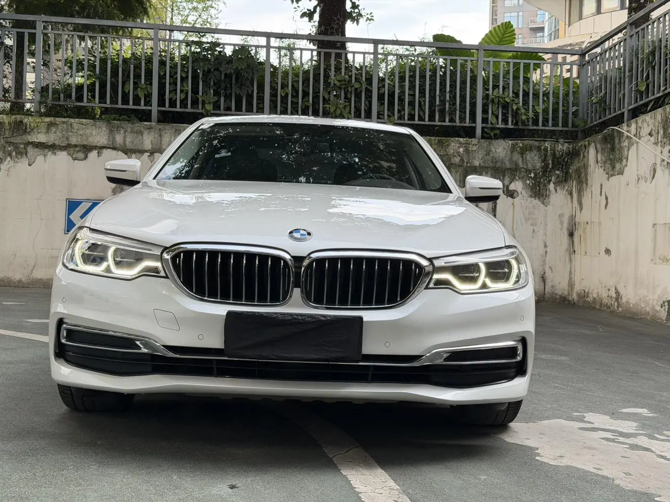 BMW 5 Series 2020 530Li Leading Luxury Package