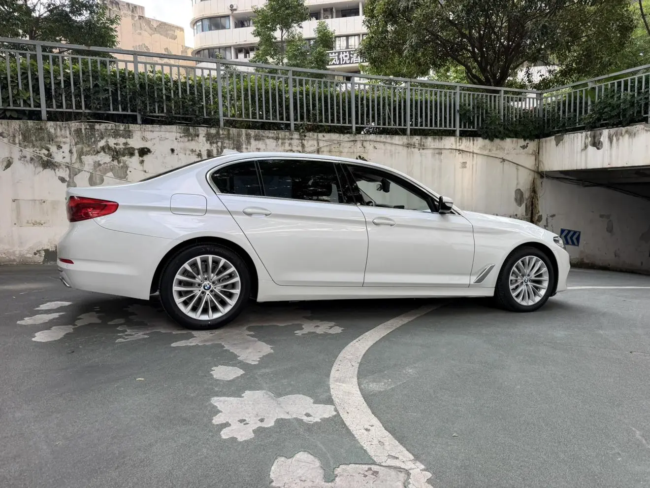 BMW 5 Series 2020 530Li Leading Luxury Package
