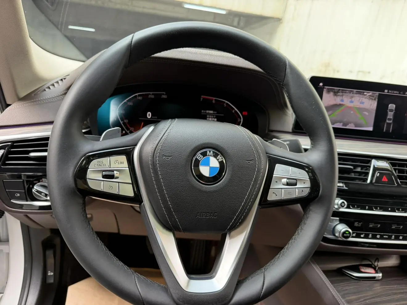BMW 5 Series 2020 530Li Leading Luxury Package