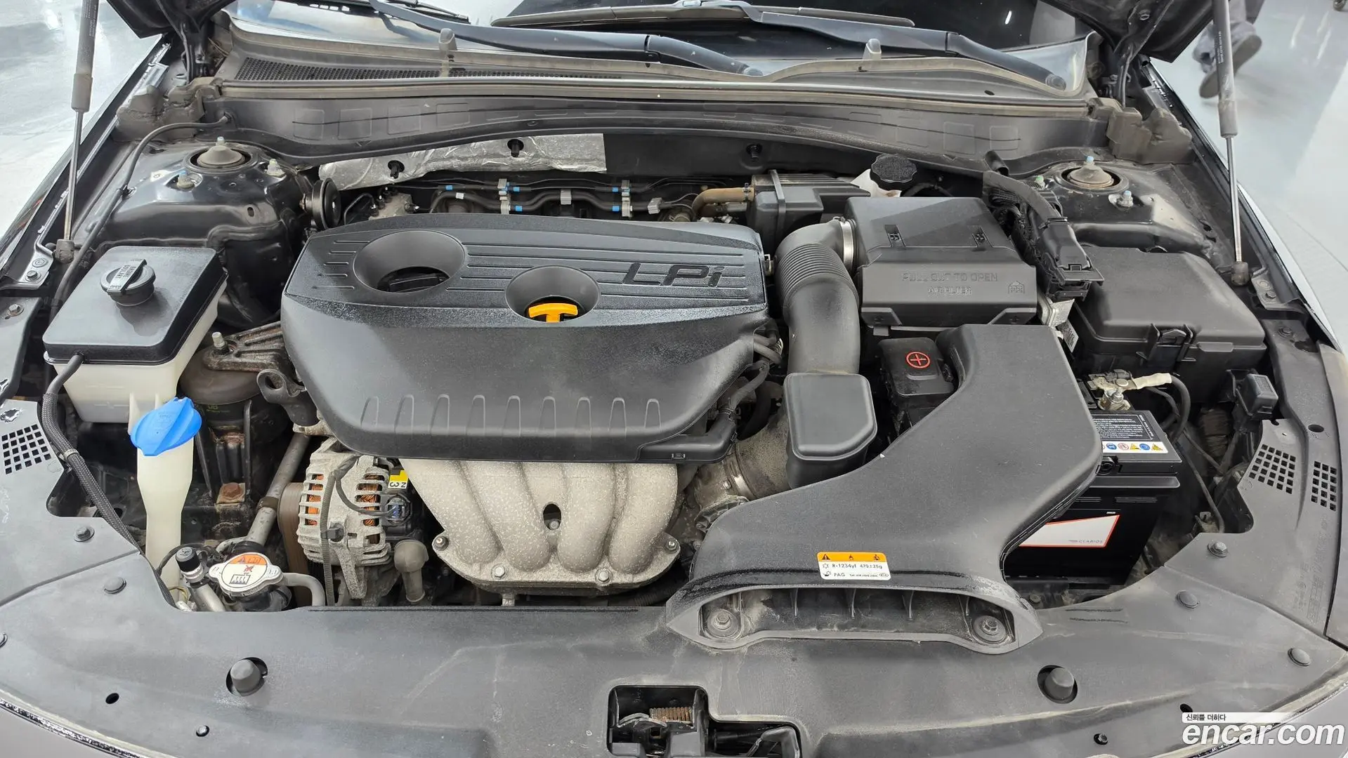 Kia K5 2.0 LPI Rental Car