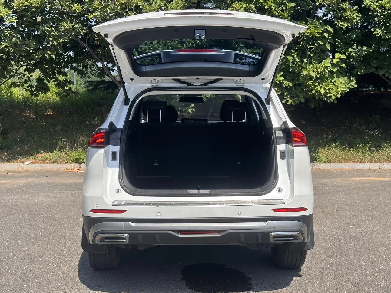 Haval H6 2023 Guochao 1.5T Auto