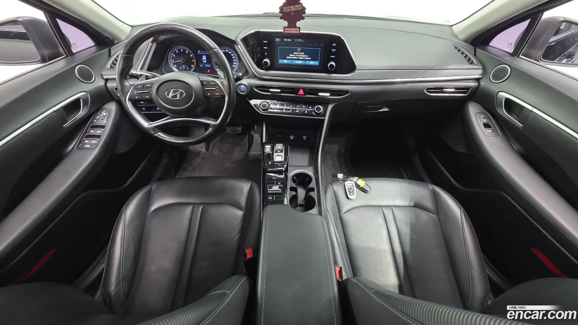 Hyundai Sonata 2.0 LPG(rental car)
