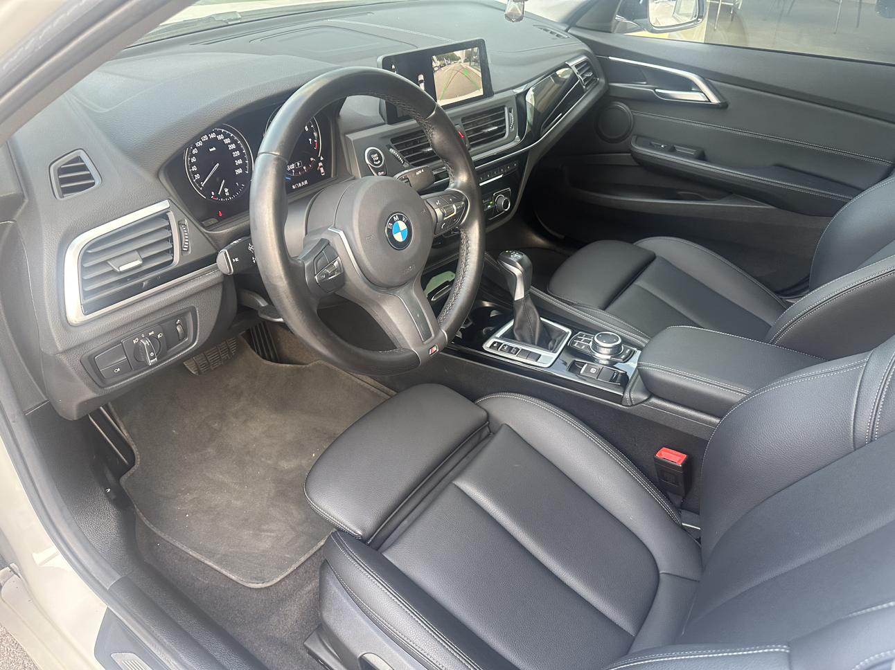 BMW 1 Series 2019 118i M Sport Package