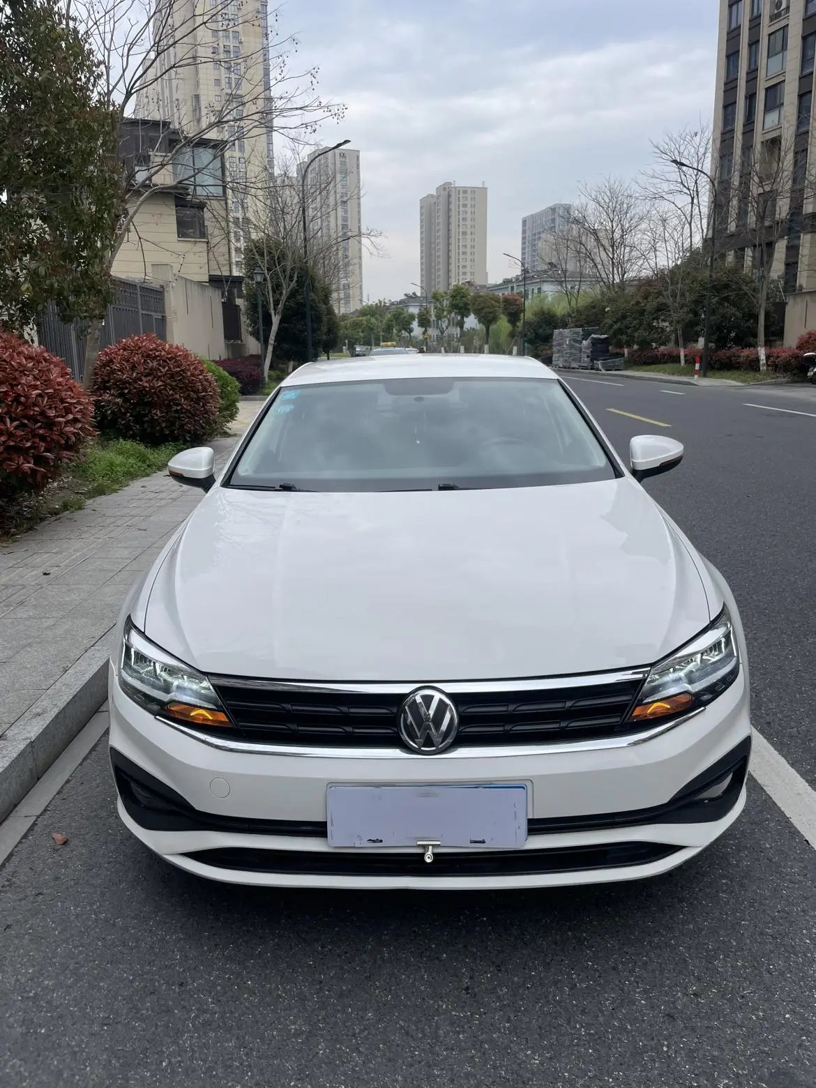 Volkswagen Lamando 2019 230TSI DSG Fashion China V