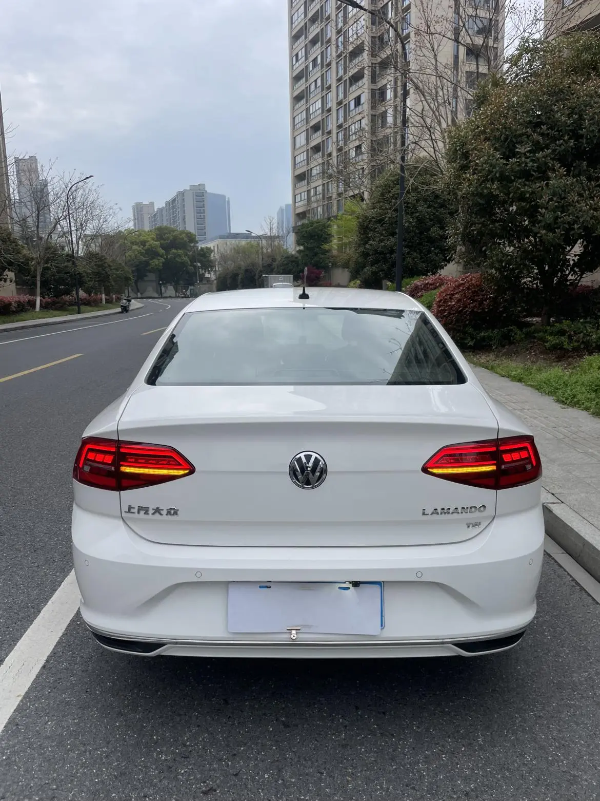 Volkswagen Lamando 2019 230TSI DSG Fashion China V