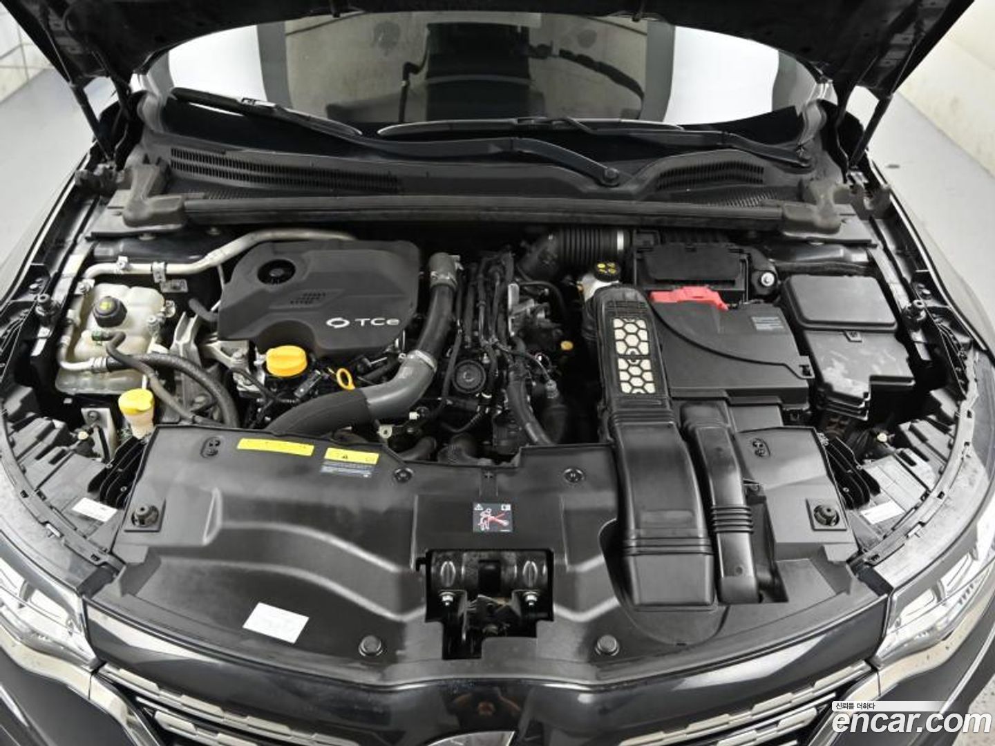 Renault Korea SM6 1.3 TCe LE