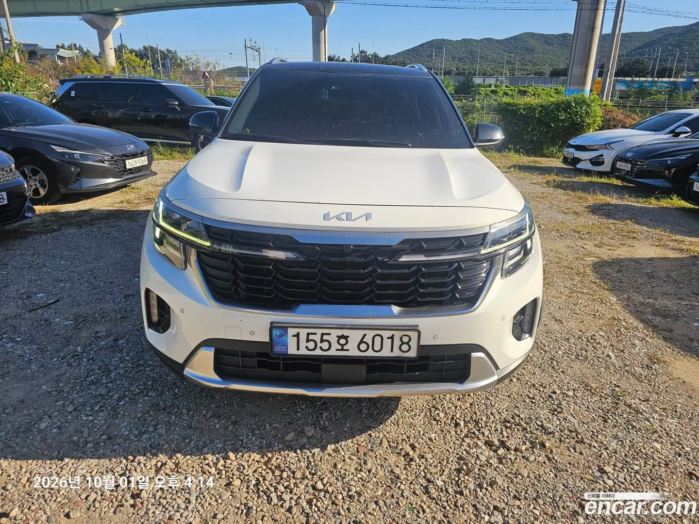 Kia Seltos Gasoline 2.0 4WD