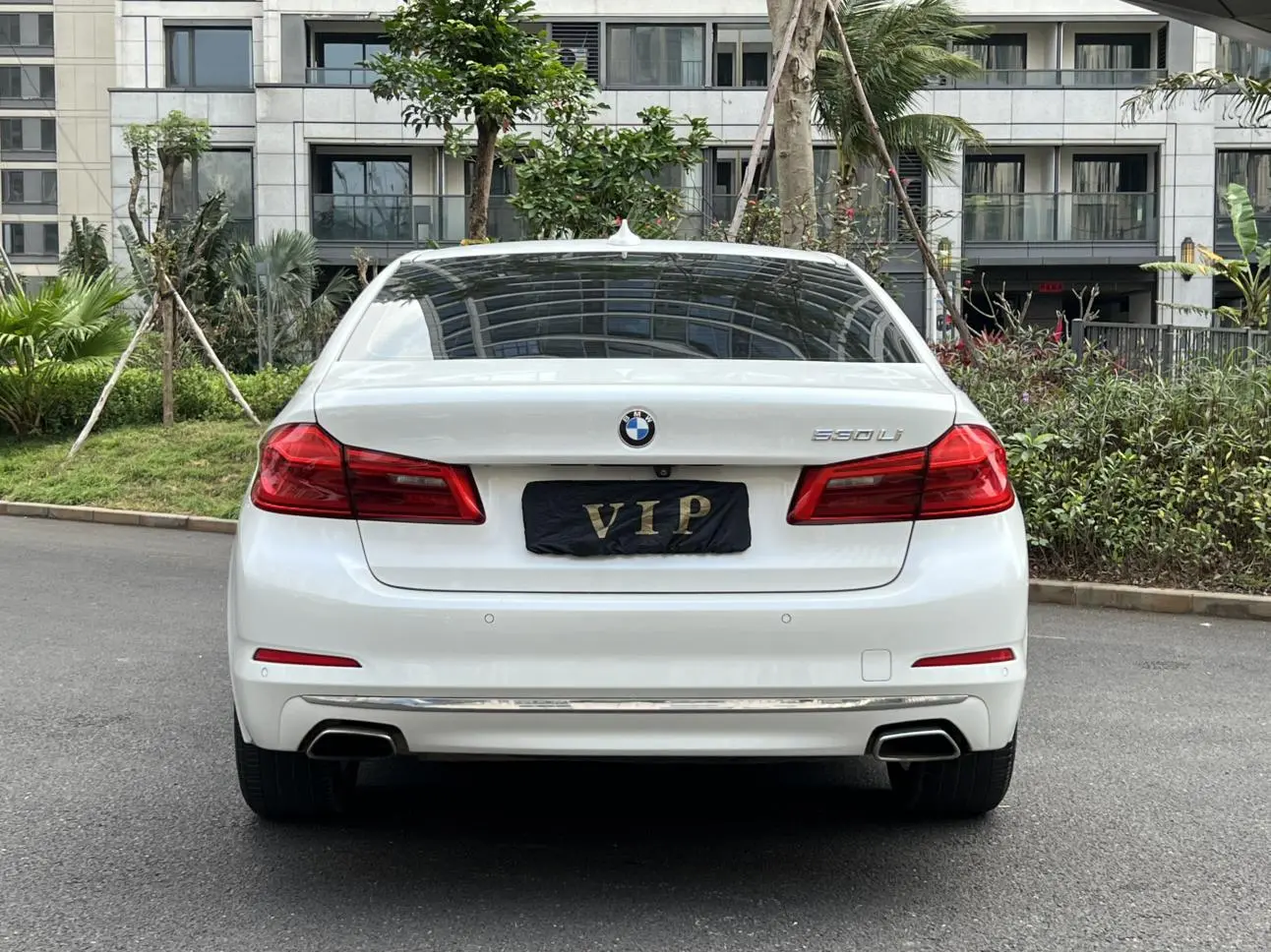 BMW 5 Series 2020 530Li Leading Luxury Package
