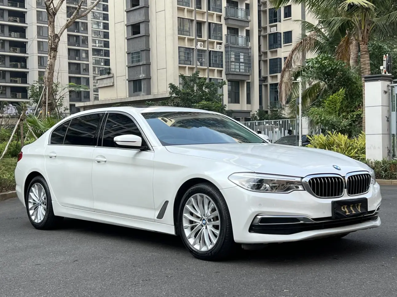 BMW 5 Series 2020 530Li Leading Luxury Package