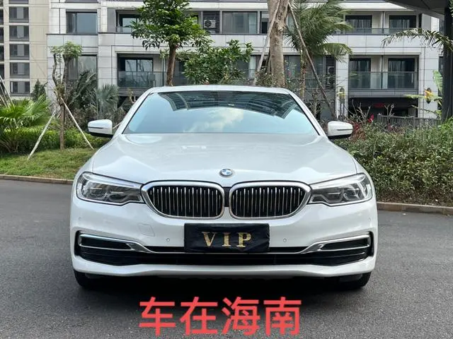 BMW 5 Series 2020 530Li Leading Luxury Package
