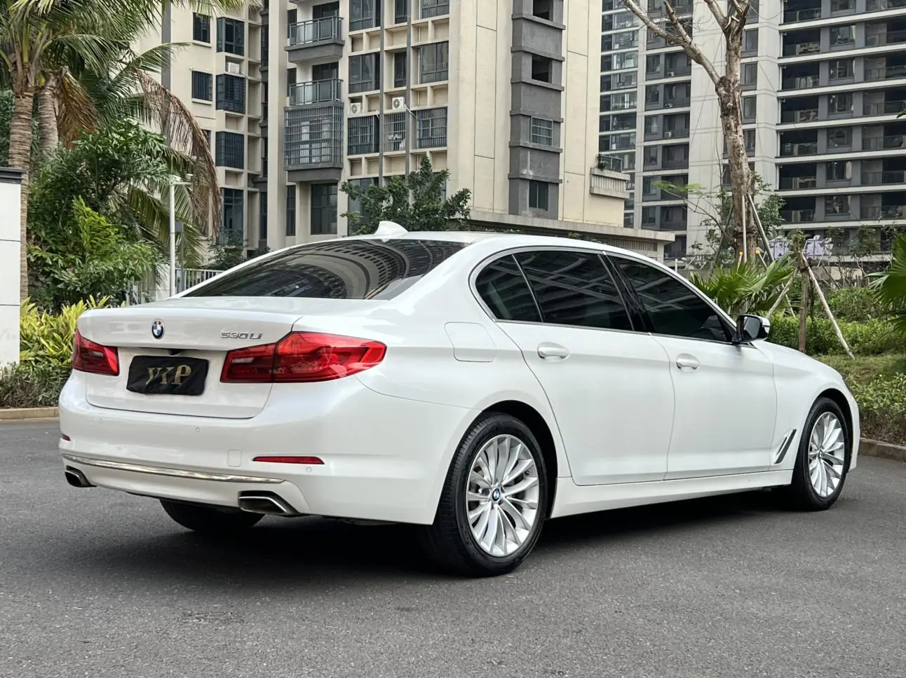 BMW 5 Series 2020 530Li Leading Luxury Package