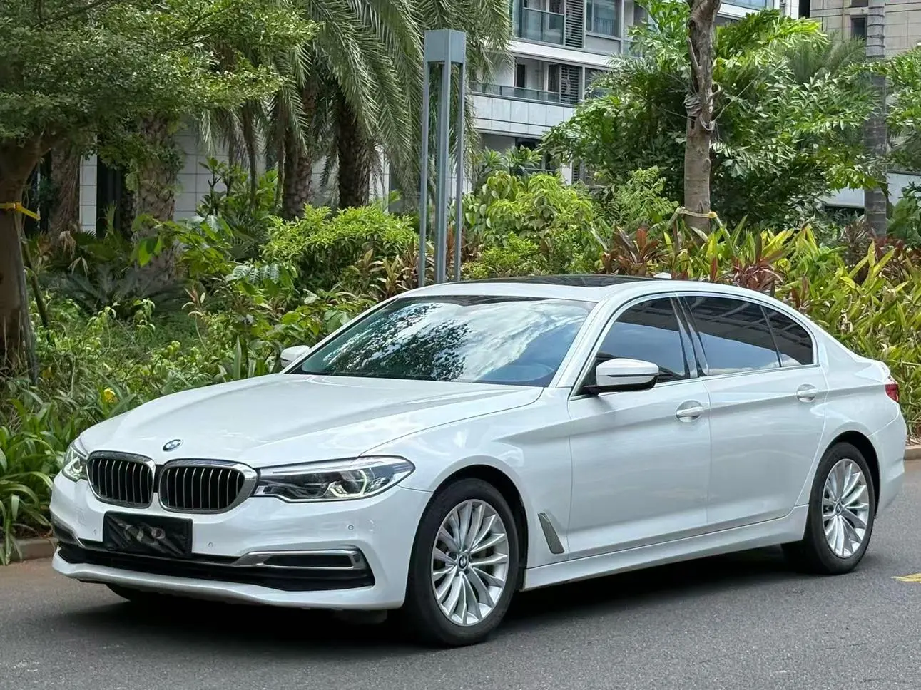 BMW 5 Series 2020 530Li Leading Luxury Package