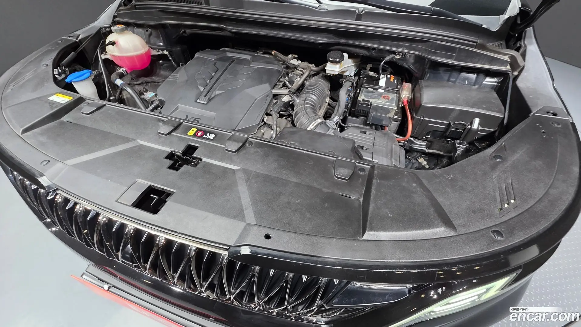 Kia Canival Gasoline 9-seater Limousine(Special vehicle) 2020