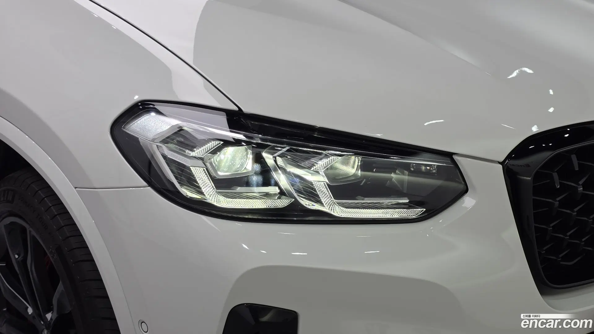 BMW X4 xDrive20i M Sport Pro Special Edition 2021