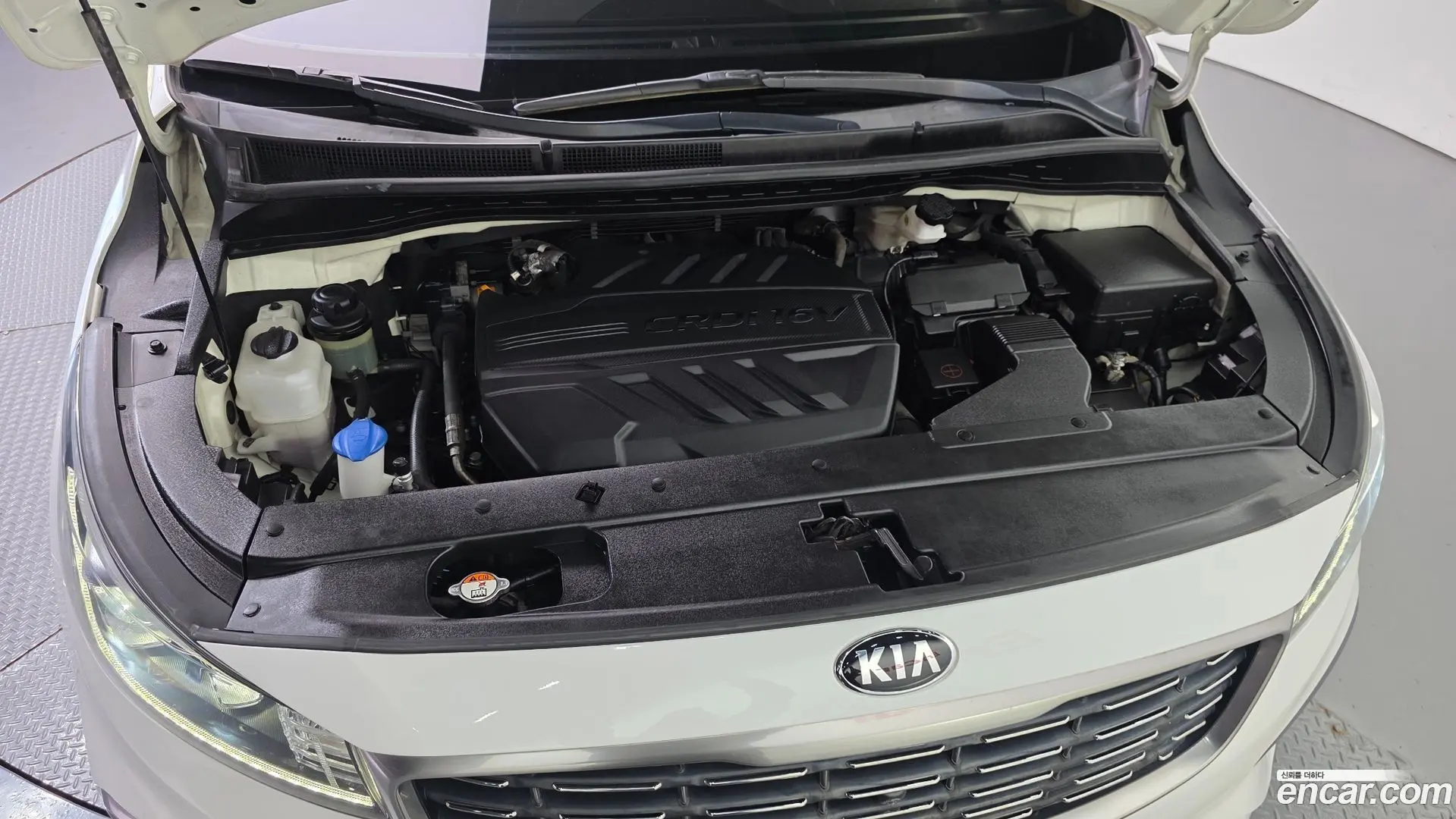 Kia Canival 7-Seater Limousine 2018