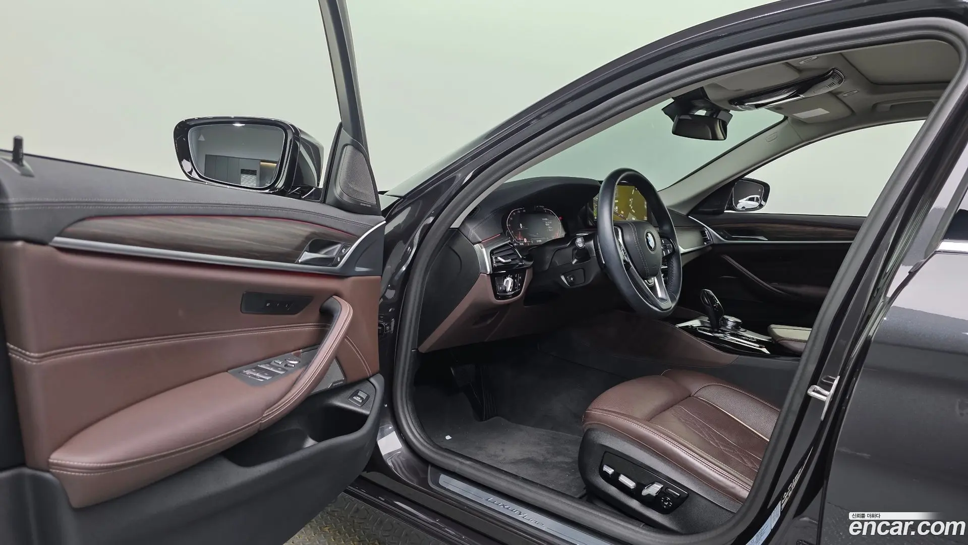 BMW 5-Series 530i xDrive Luxury 2020