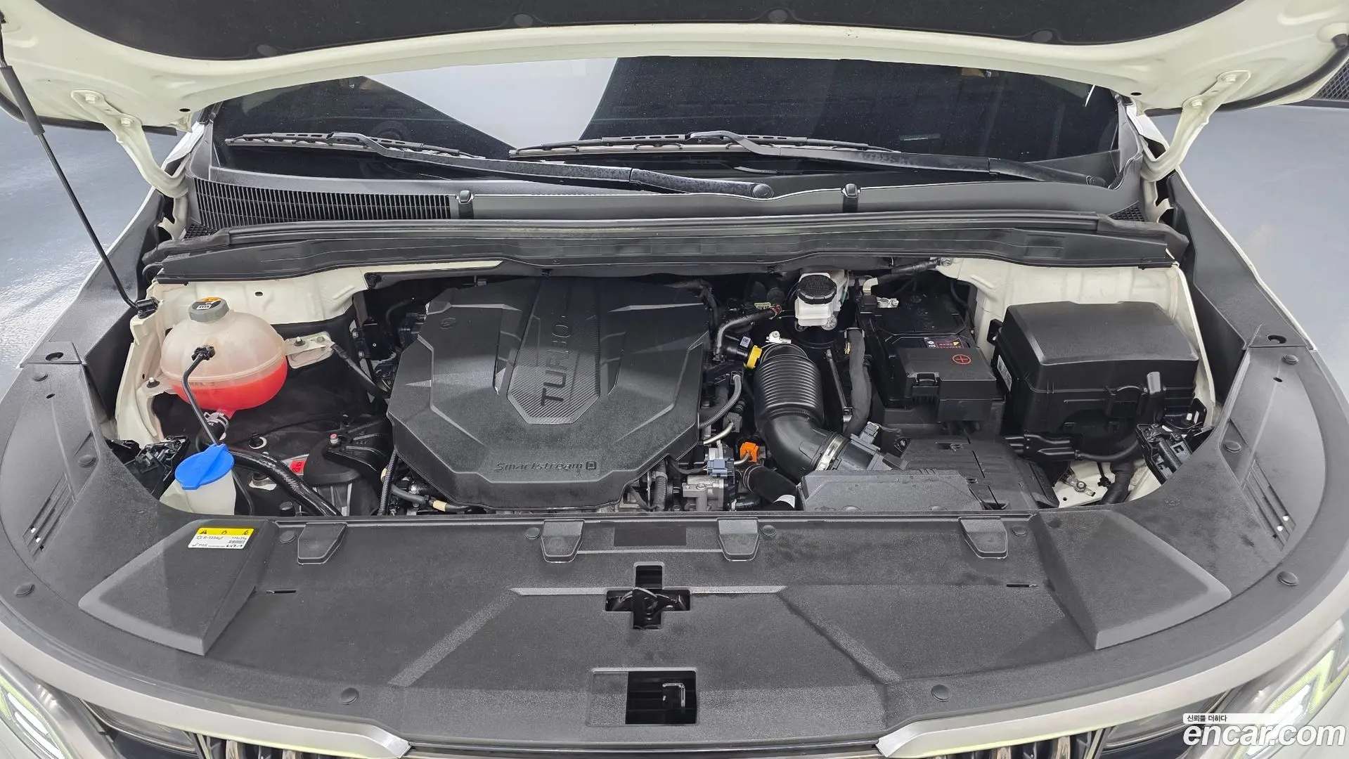 Kia Canival Diesel 9-Seater Signature