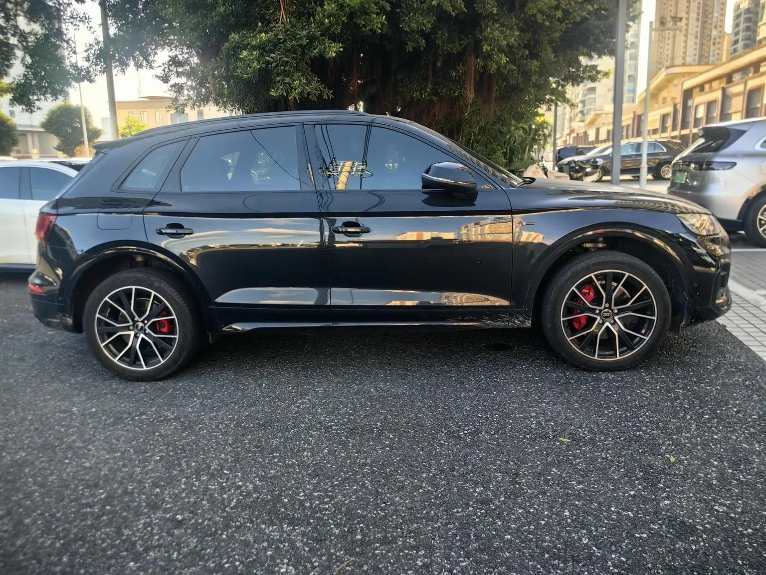 Audi Q5L 2024 45TFSI Dynamic Luxury