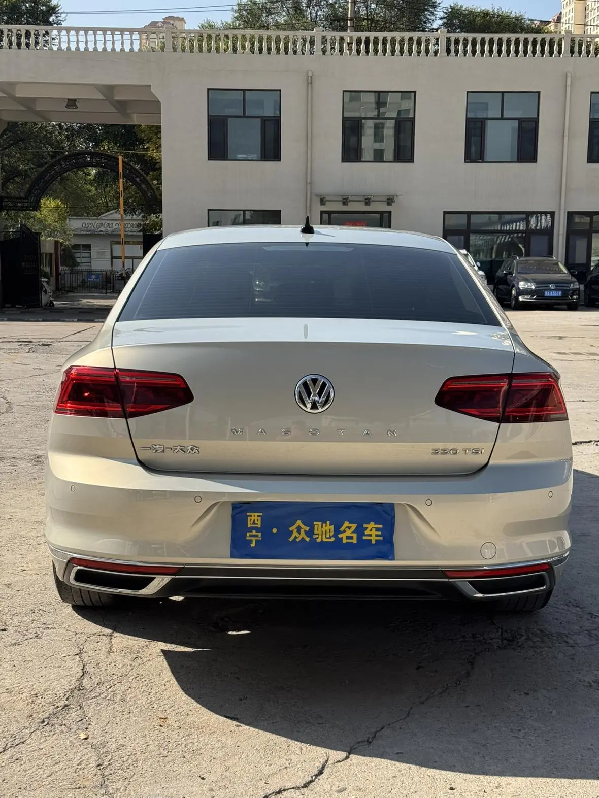 Volkswagen Magotan 2020 330TSI DSG Leading