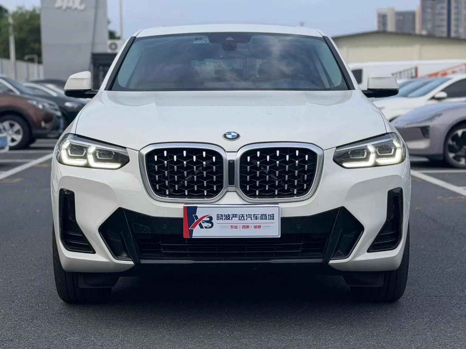 BMW X4 2022 xDrive 30i M Sport Package