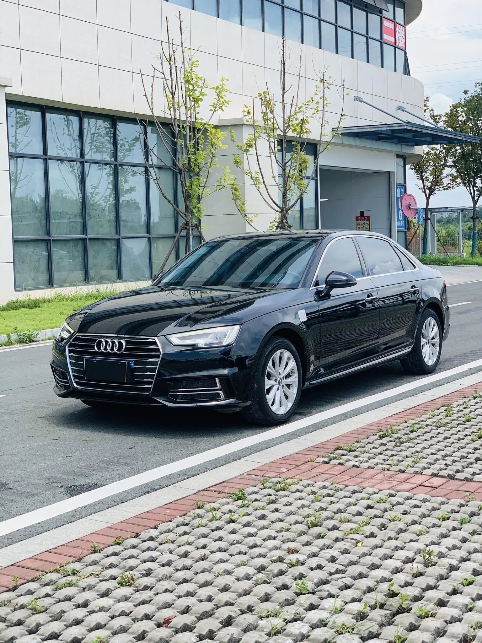 Audi A4L 2019 40 TFSI Progressive China VI