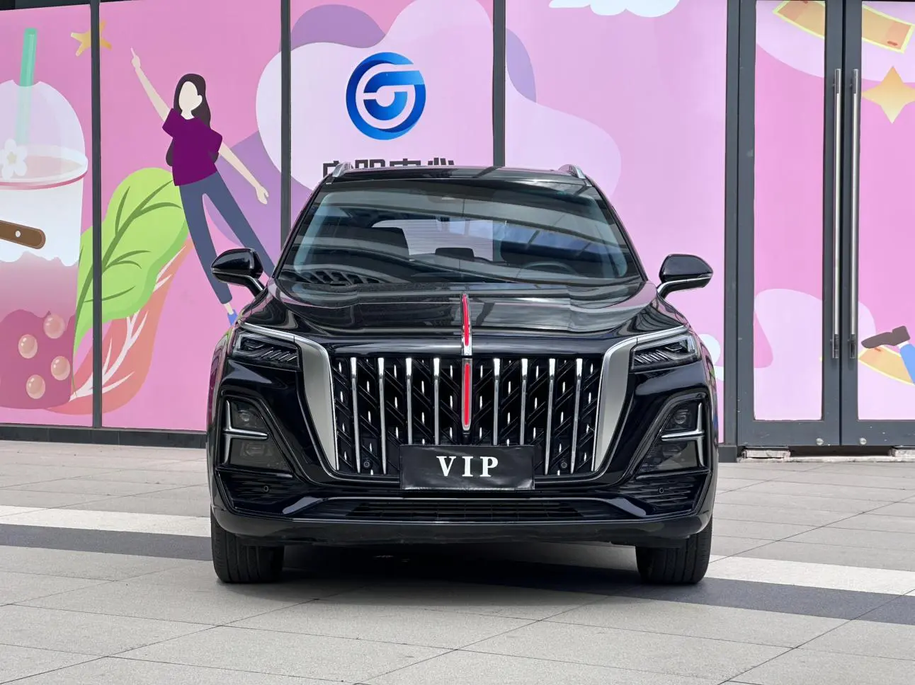 Hongqi HS5 2023 2.0T Pro
