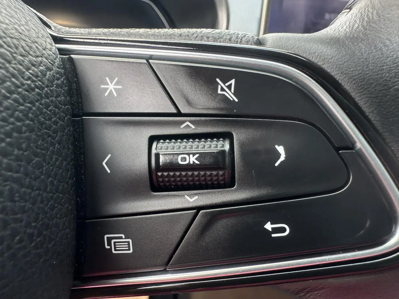 Geely Xingrui 2021 2.0T Premium