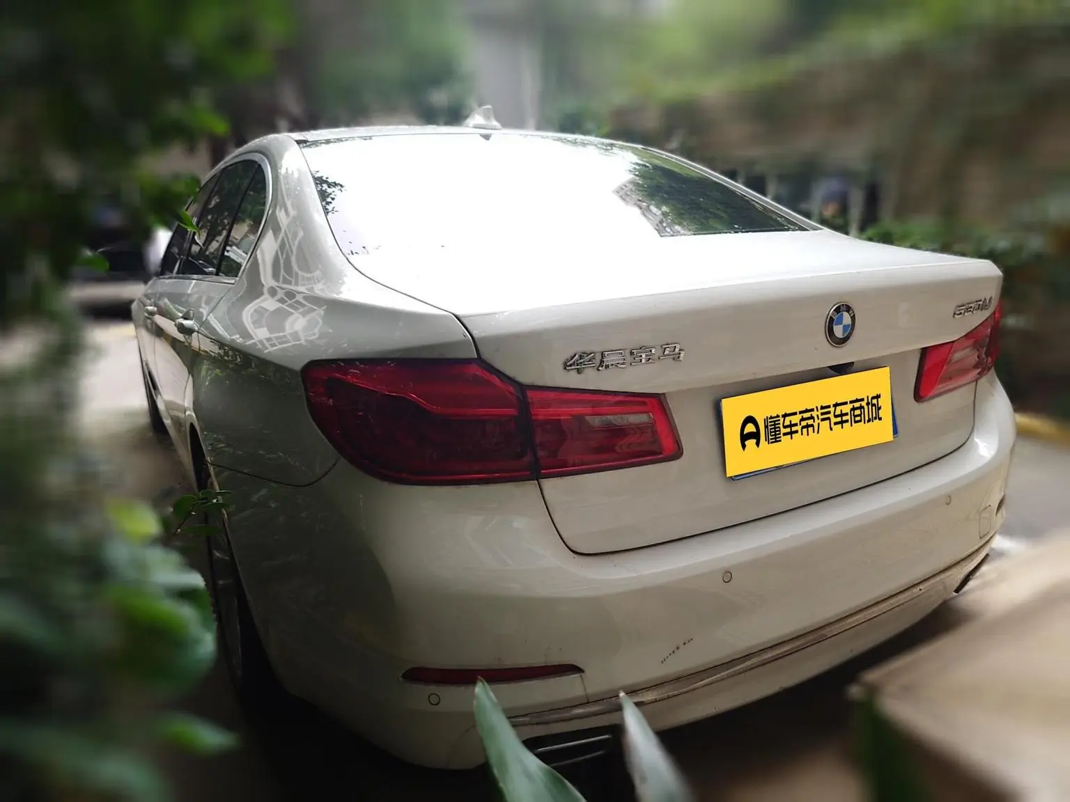 BMW 5 Series 2020 530Li Leading Luxury Package