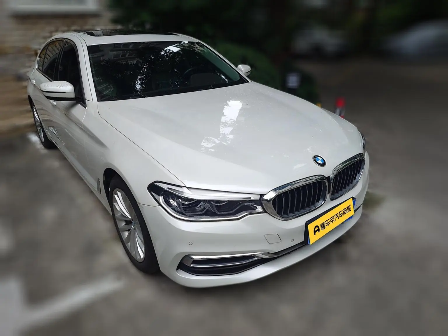 BMW 5 Series 2020 530Li Leading Luxury Package