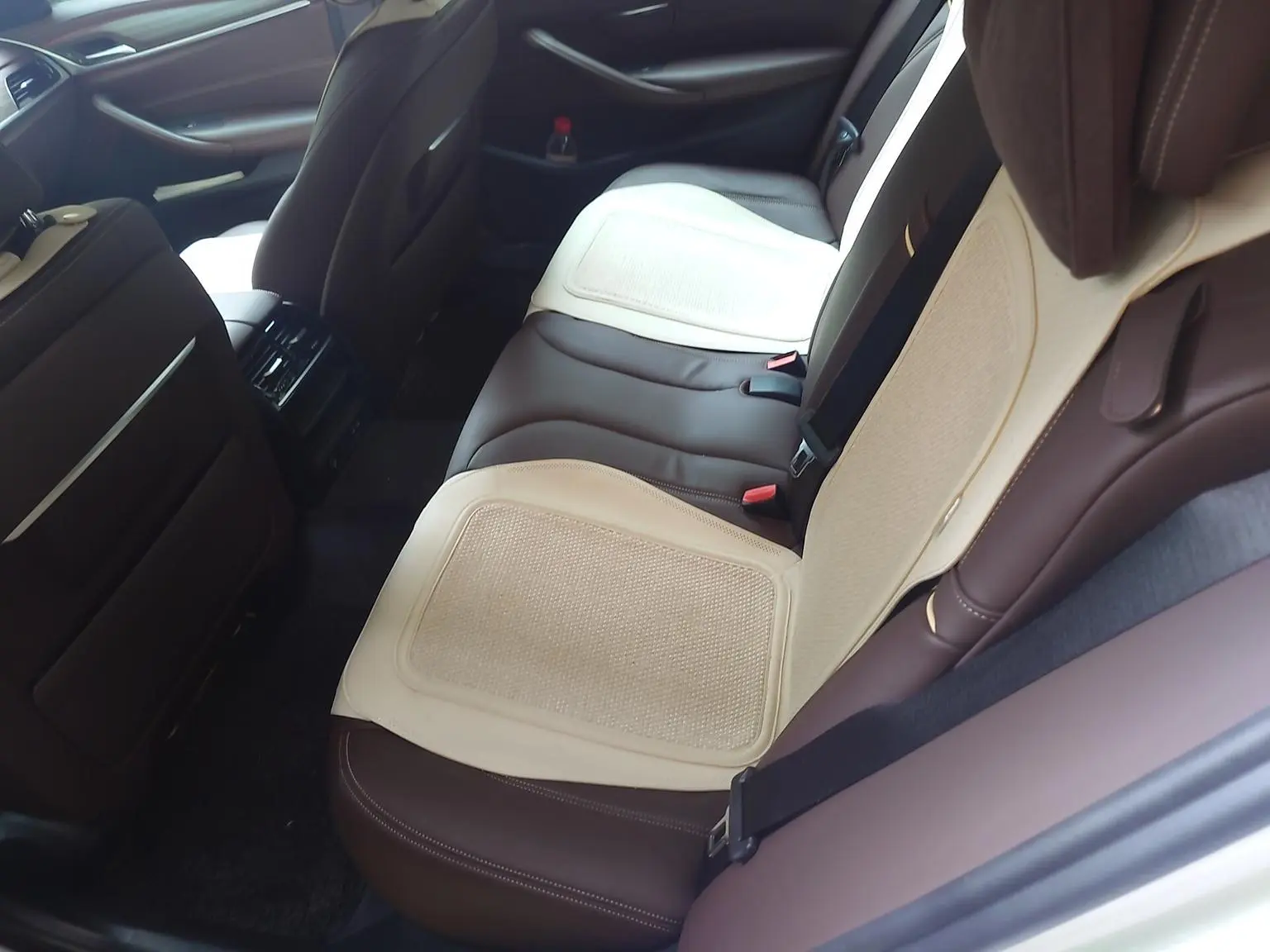 BMW 5 Series 2020 530Li Leading Luxury Package
