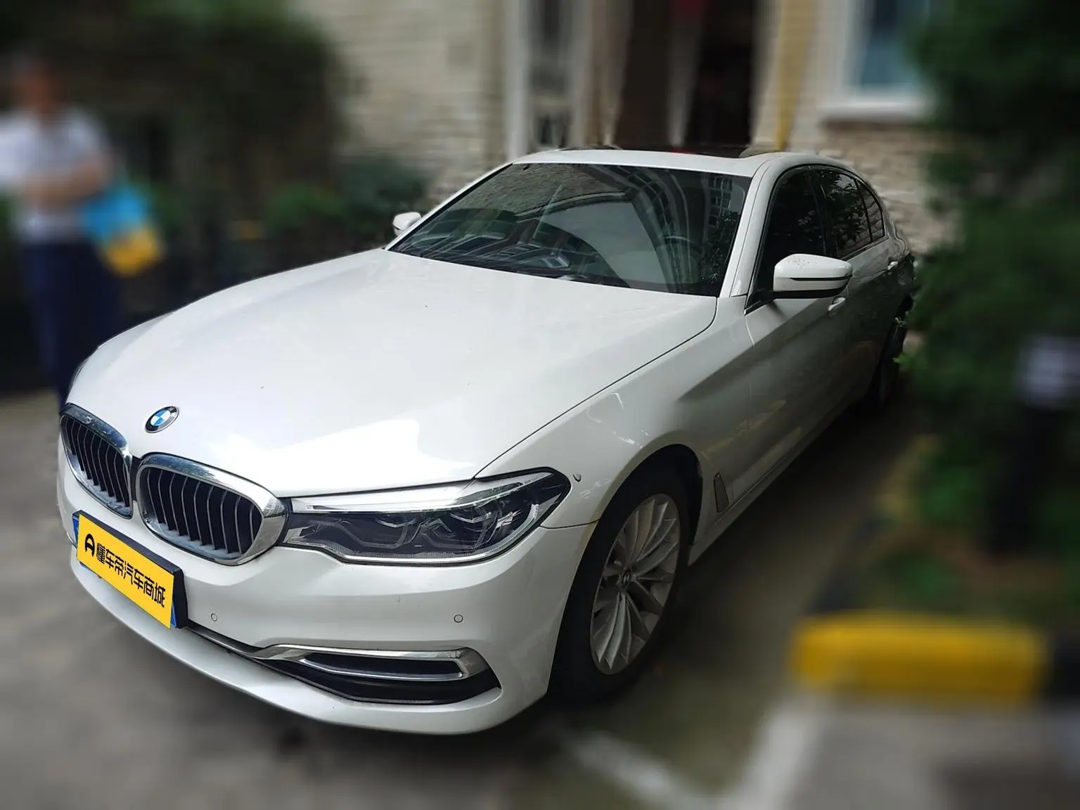 BMW 5 Series 2020 530Li Leading Luxury Package