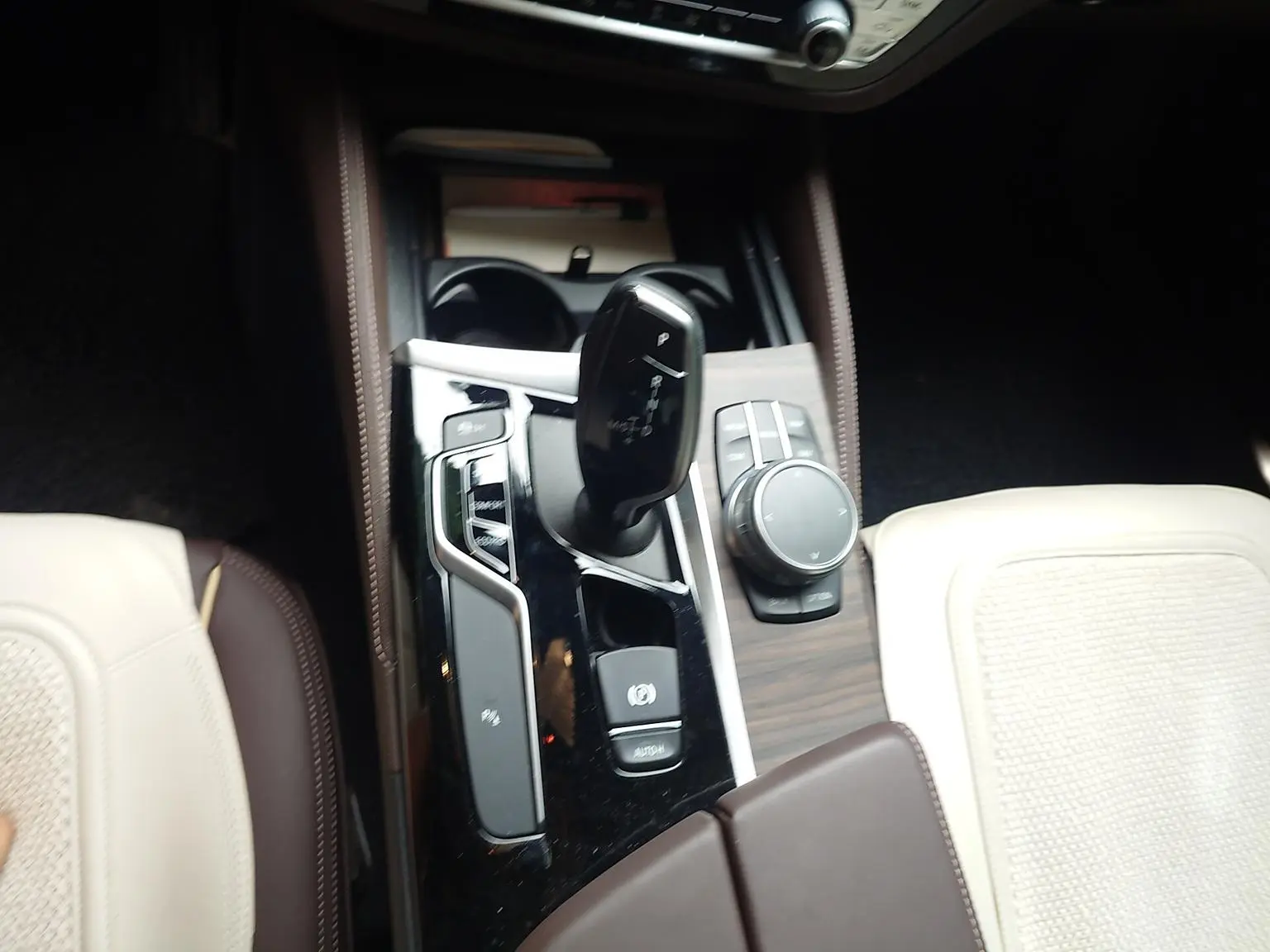 BMW 5 Series 2020 530Li Leading Luxury Package