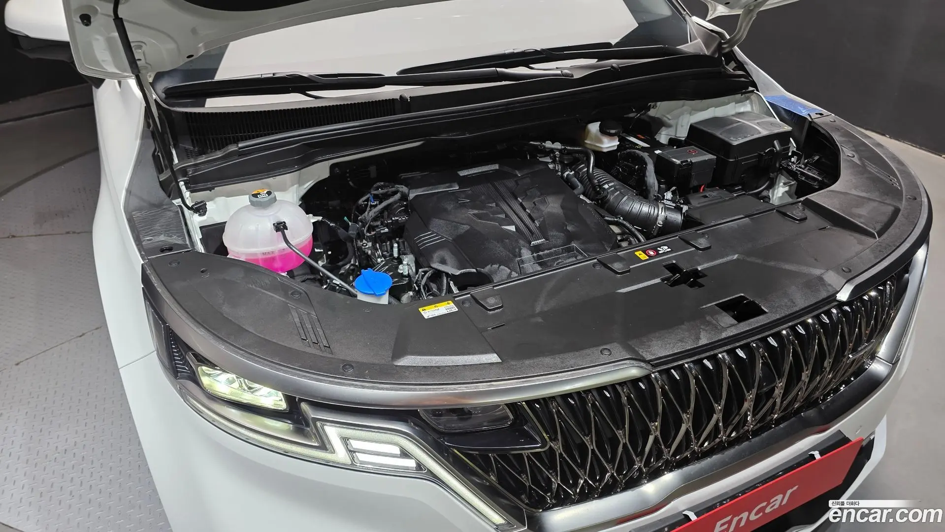Kia Canival Gasoline 9-seater Limousine(Special vehicle) 2023