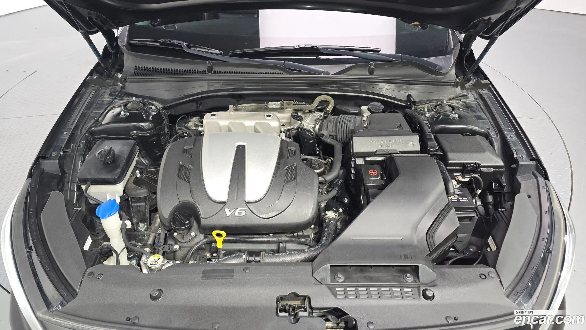 Kia K7 3.0 LPI Trendy(Rented Car)