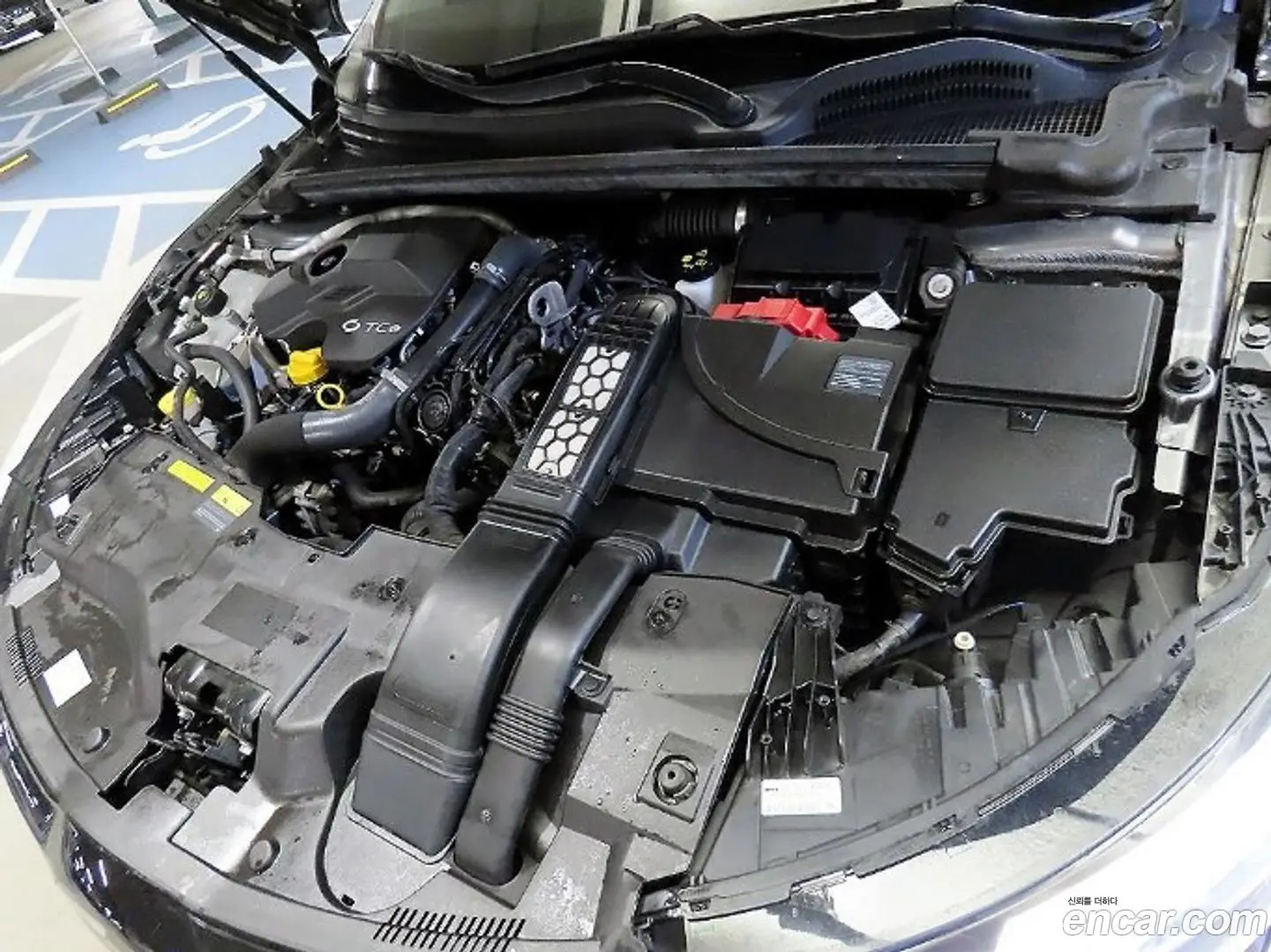 Renault Korea SM6 1.3 TCe LE