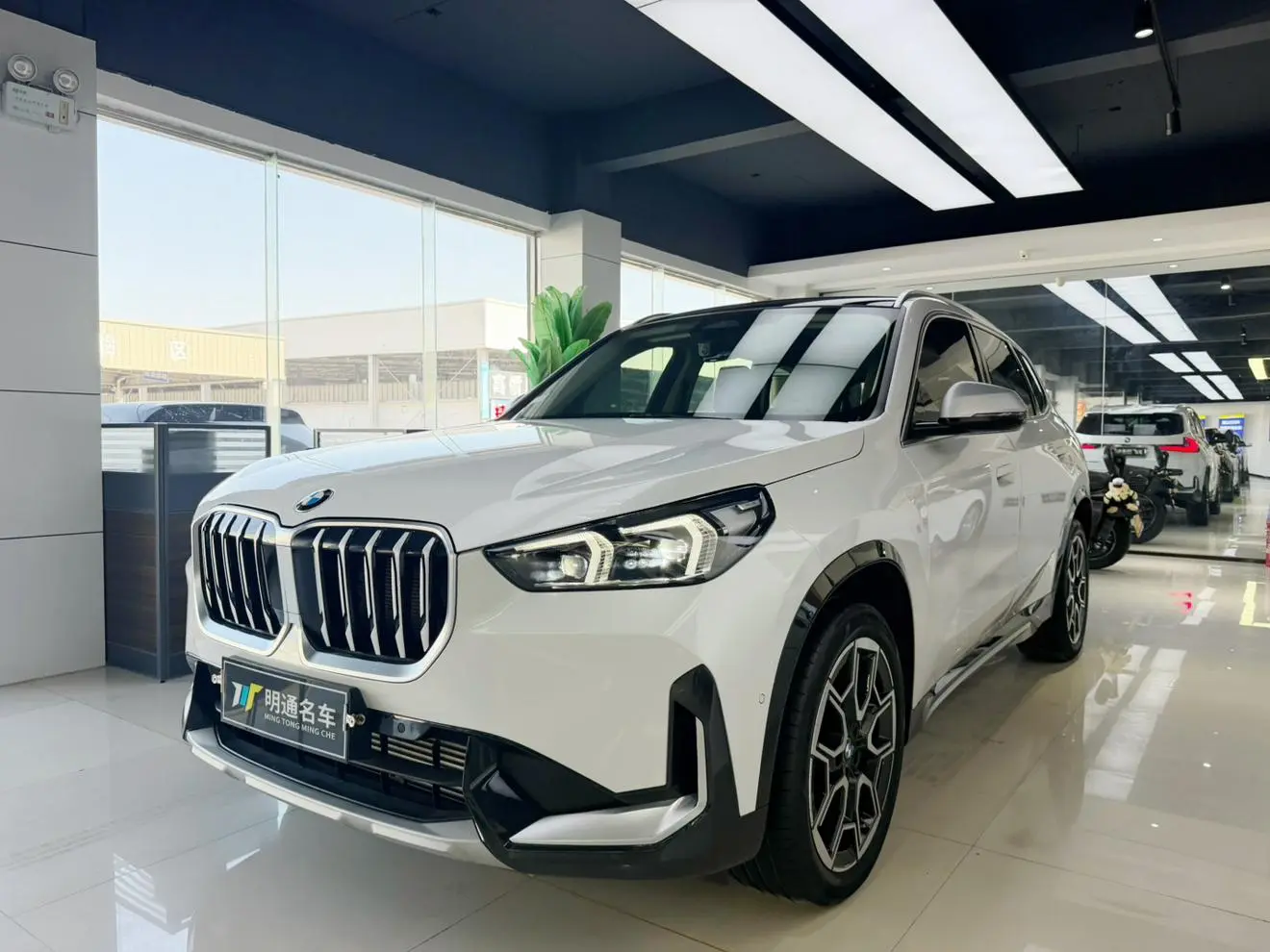 BMW X1 2023 xDrive25Li X Design Package