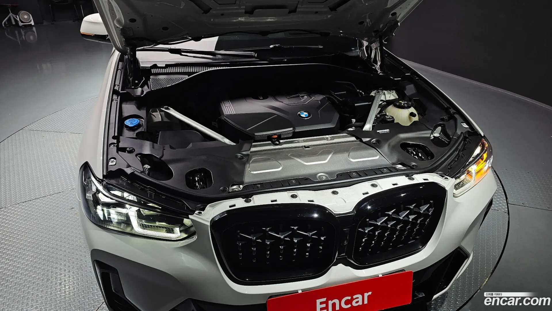 BMW X4 xDrive20i M Sport Pro Special Edition 2021