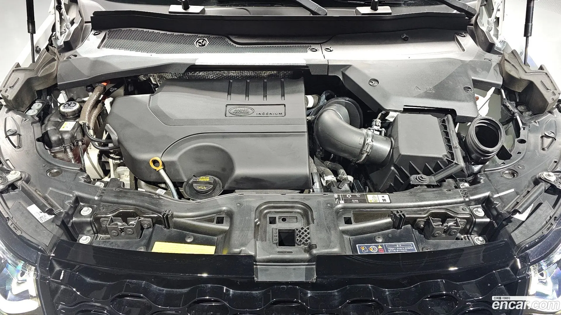 Land Rover Discovery Sport P250 Dynamic SE