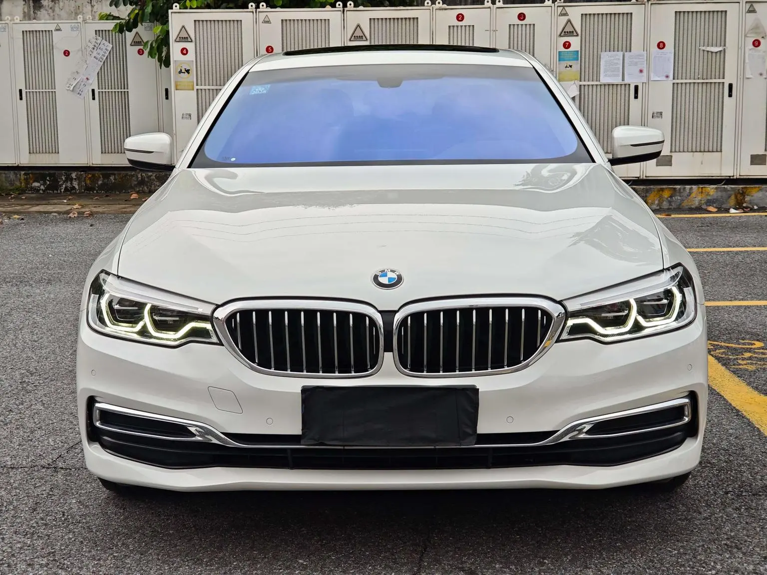 BMW 5 Series 2020 530Li Leading Luxury Package