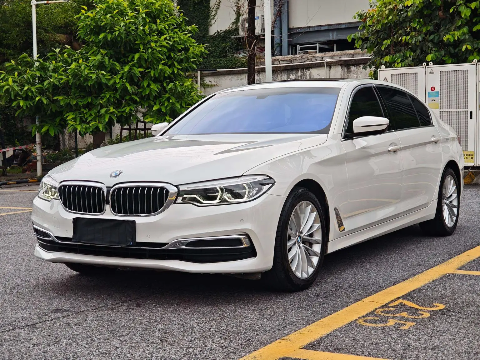 BMW 5 Series 2020 530Li Leading Luxury Package