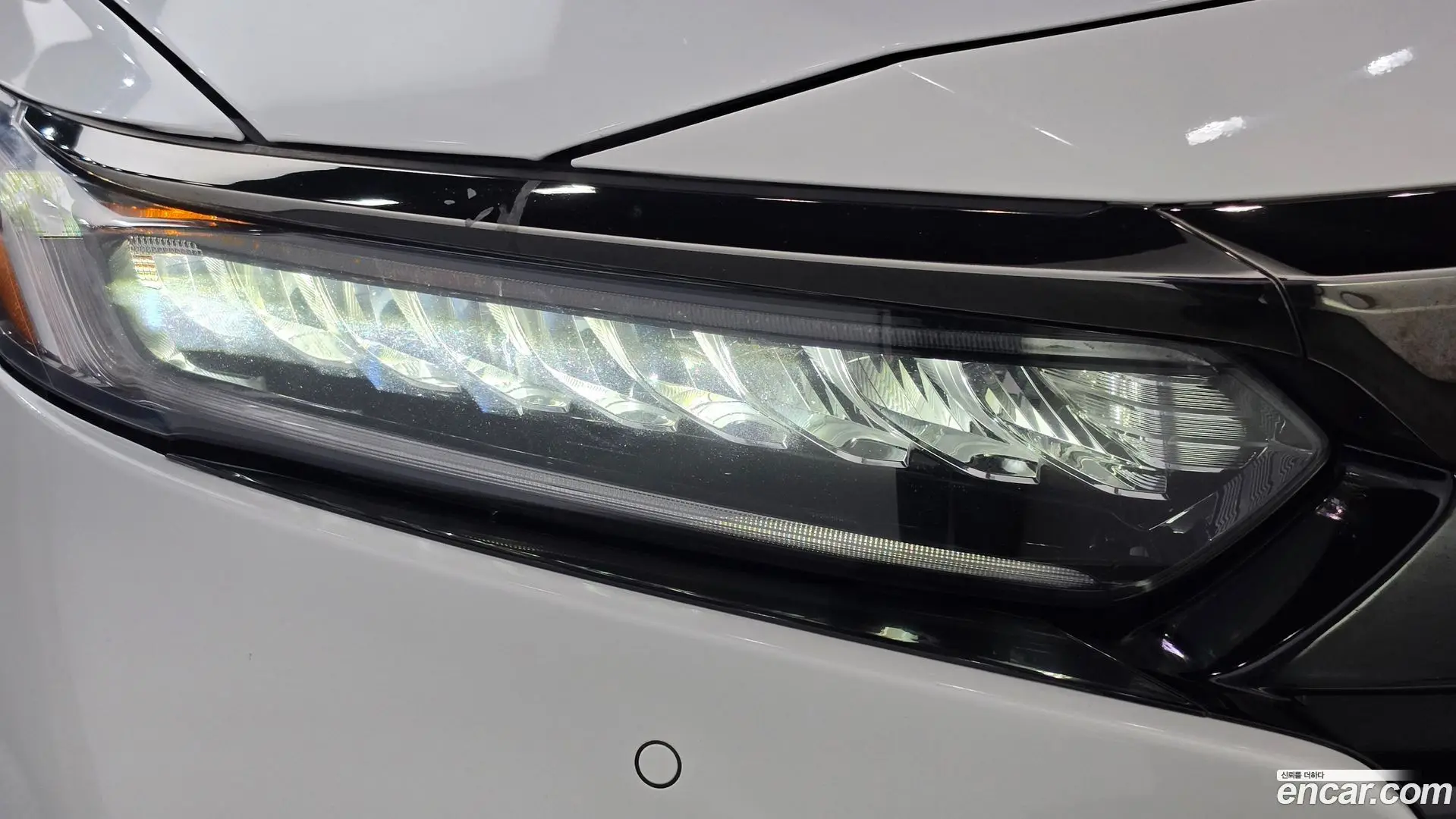 Honda Accord 2.0 Turbo Sport