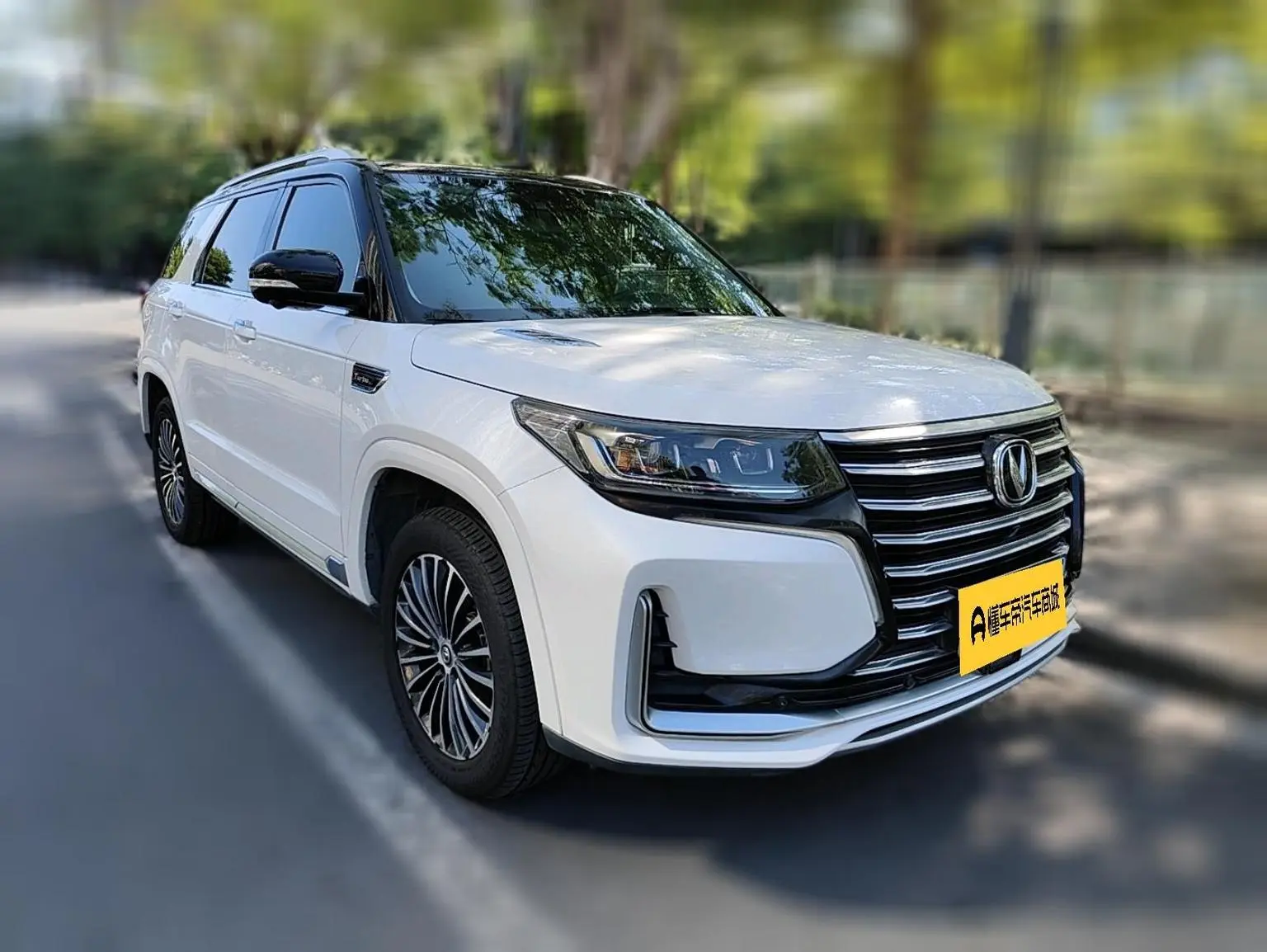 Changan CS95 2019 2.0T 4WD Premium