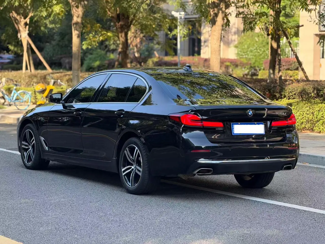 BMW 5 Series 2022 530Li Leading Luxury Package