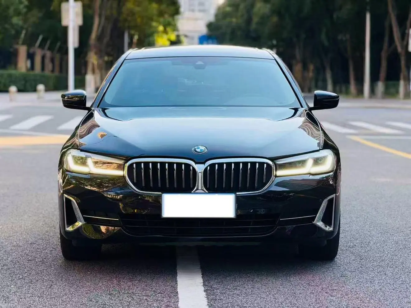 BMW 5 Series 2022 530Li Leading Luxury Package