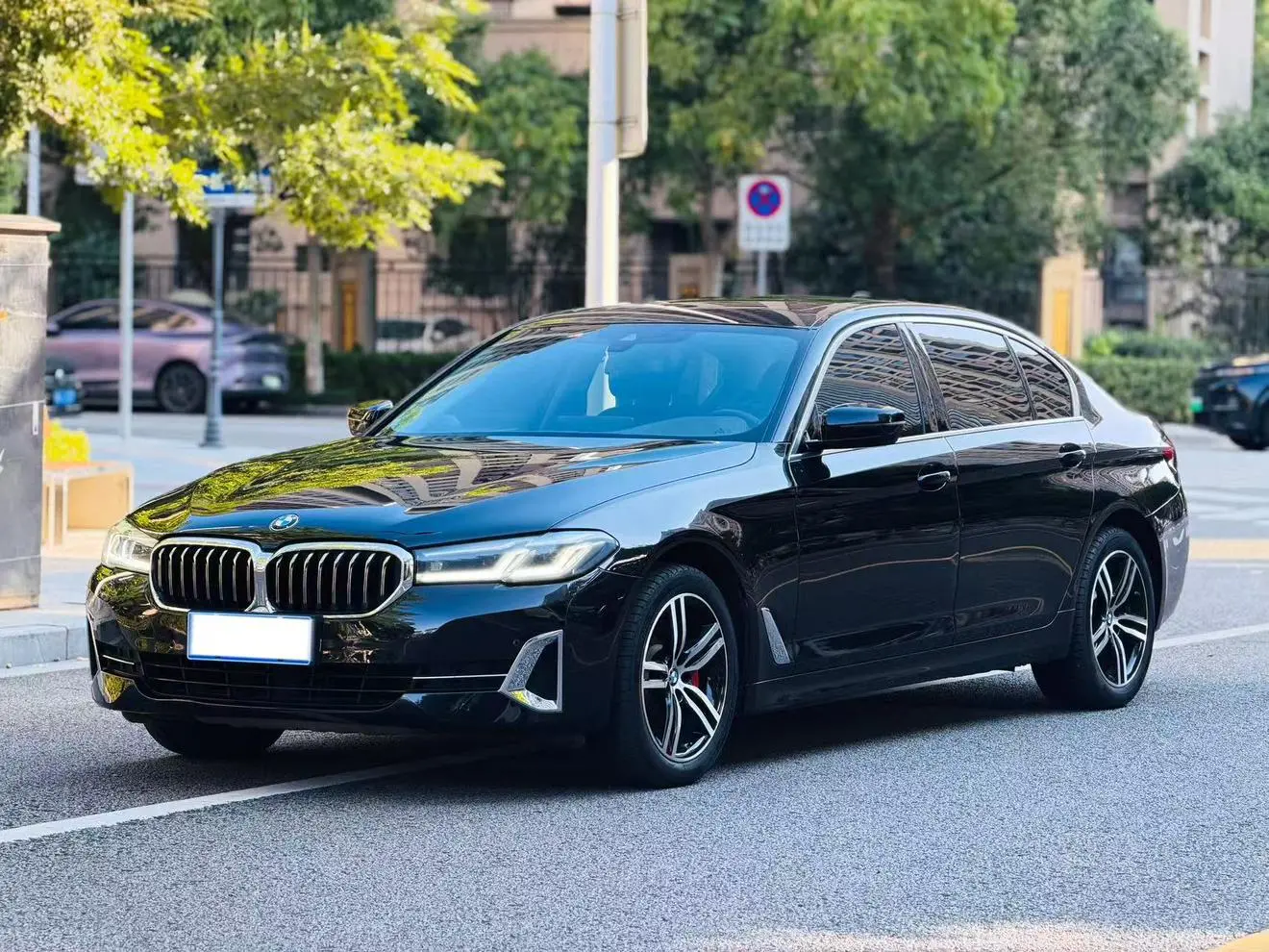 BMW 5 Series 2022 530Li Leading Luxury Package