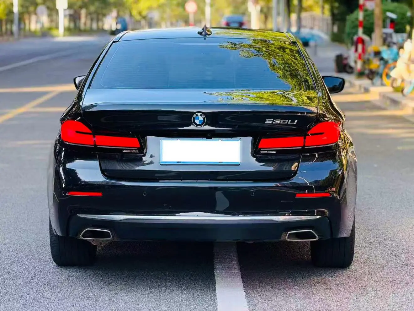 BMW 5 Series 2022 530Li Leading Luxury Package