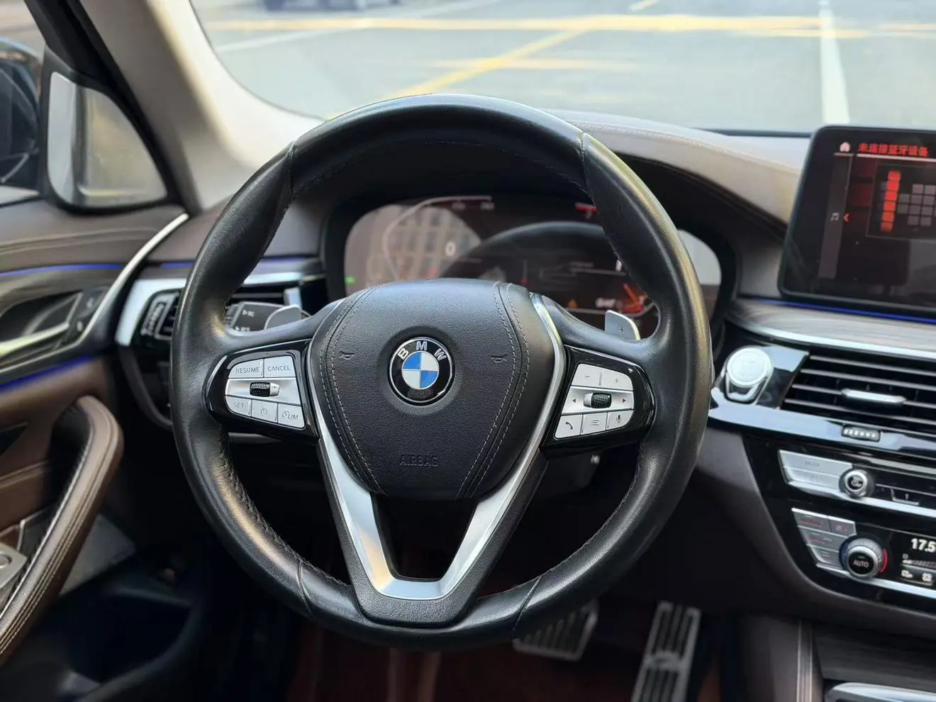 BMW 5 Series 2022 530Li Leading Luxury Package