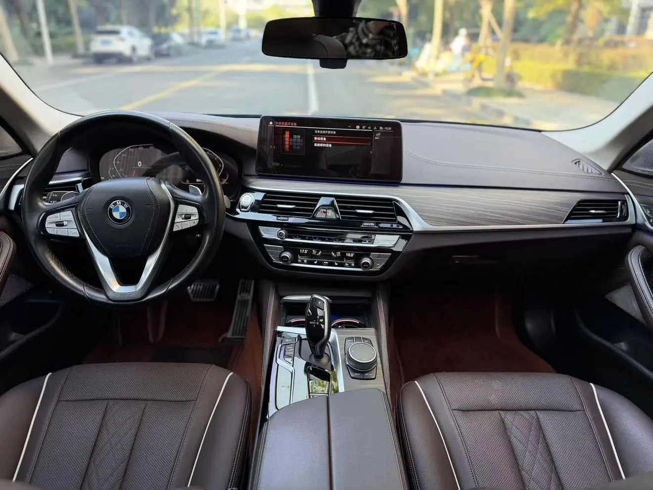 BMW 5 Series 2022 530Li Leading Luxury Package