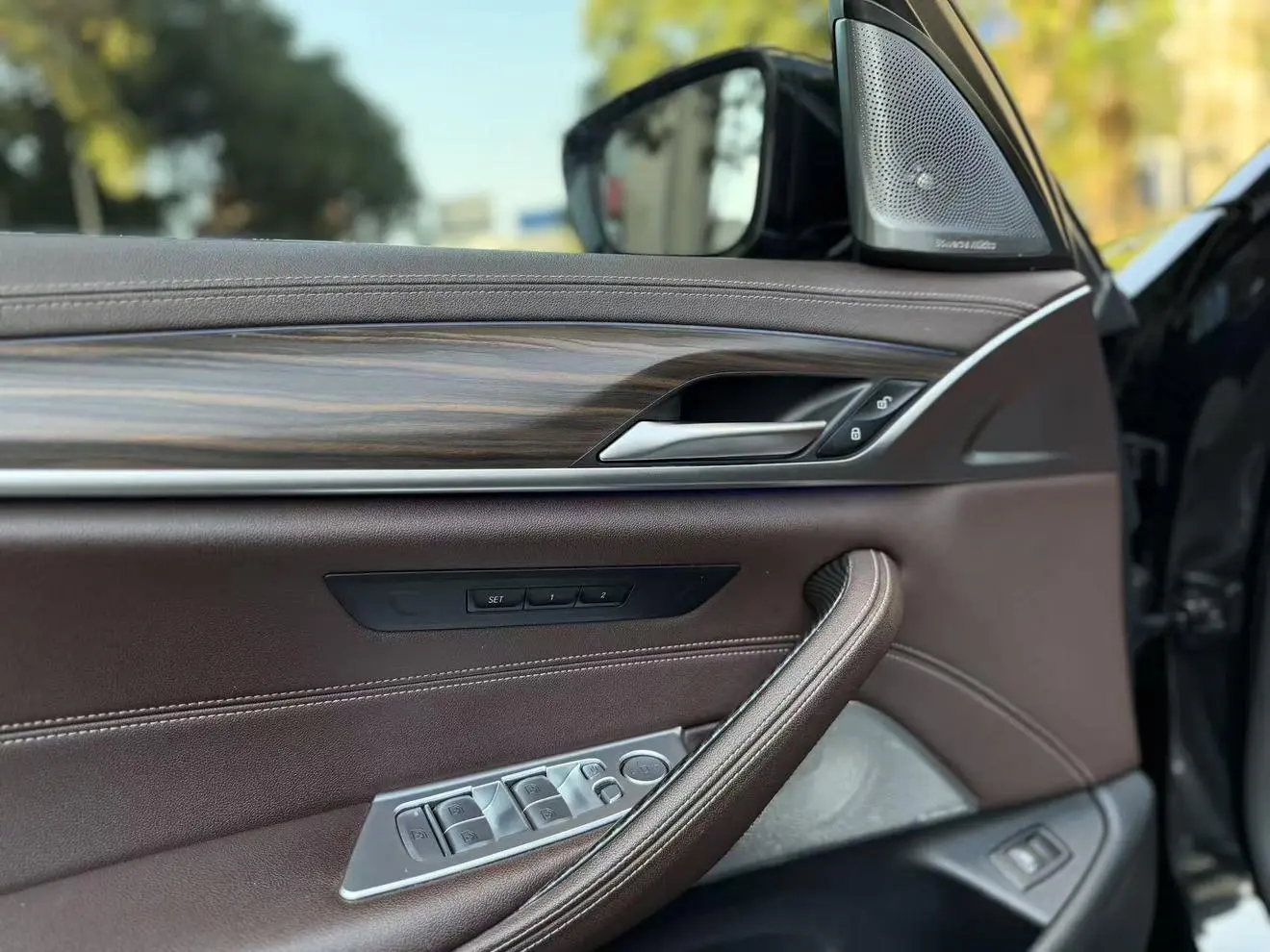 BMW 5 Series 2022 530Li Leading Luxury Package